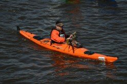 Kayaking from Montreal to Quebec City for a cause